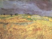 Vincent Van Gogh The Fields (nn04) oil on canvas